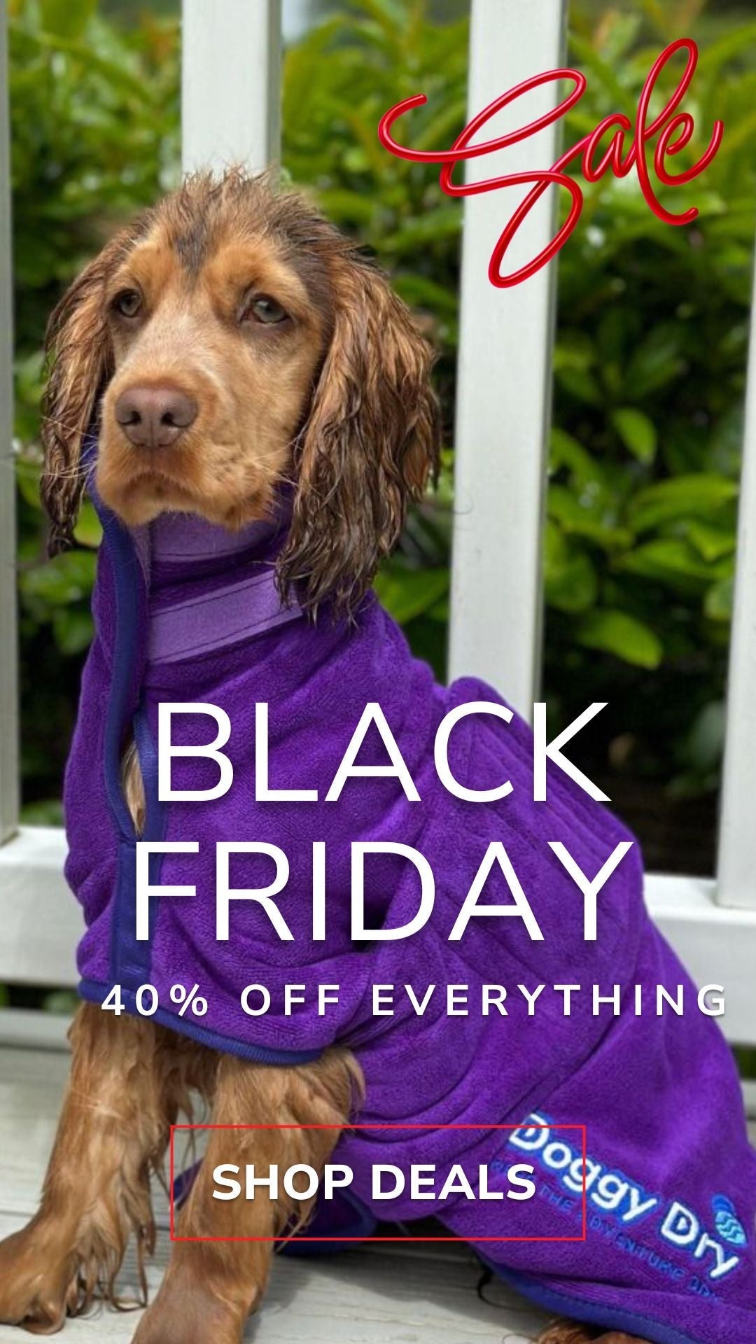 Black Friday Deals - Doggy Dry