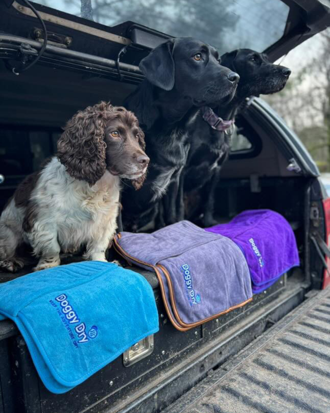 EARTH & TIDE DRYING COATS