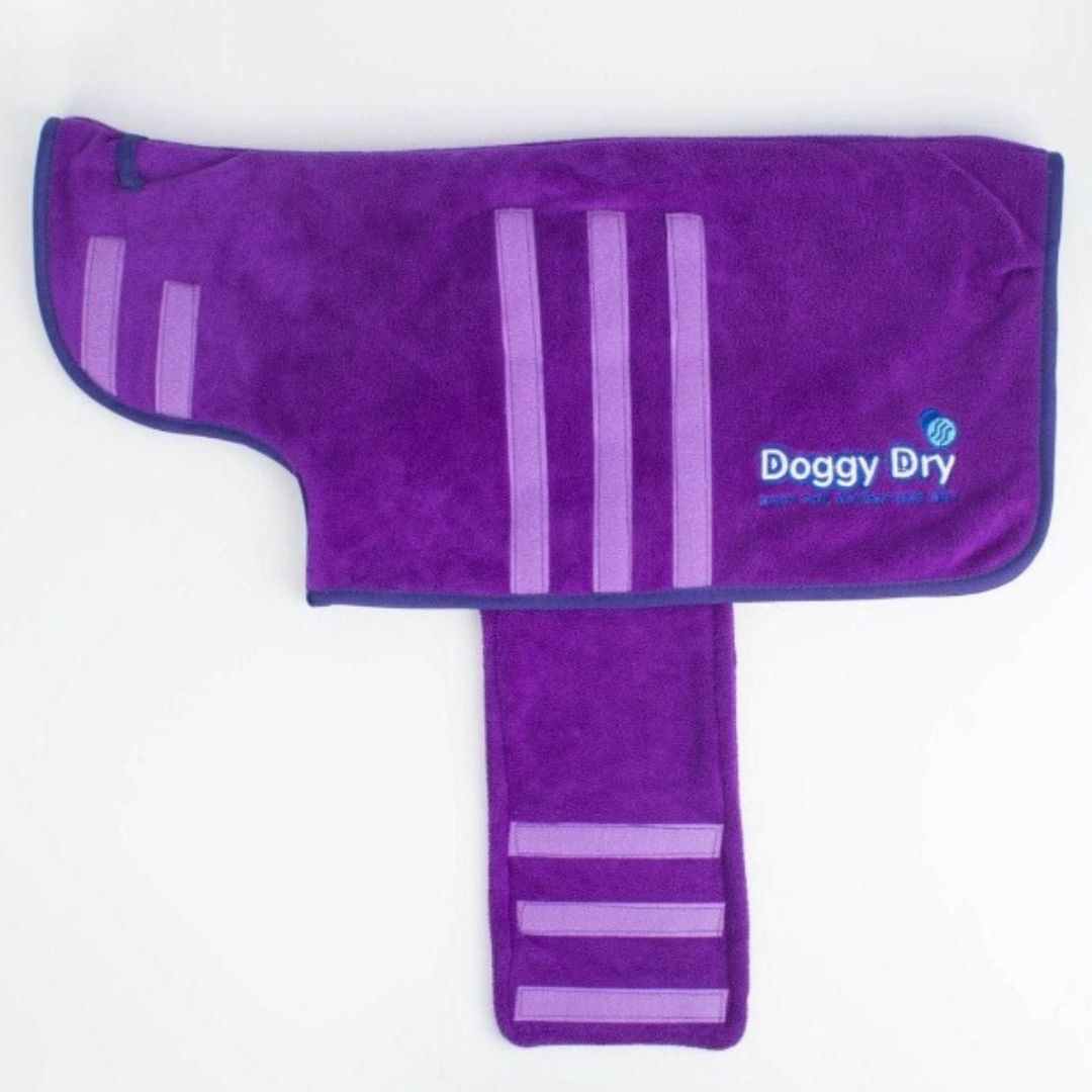 purple robe - dry robe - dog dry robe - purple robe - dog drying - dry my dog-Dog Drying Coat with Belly Strap 