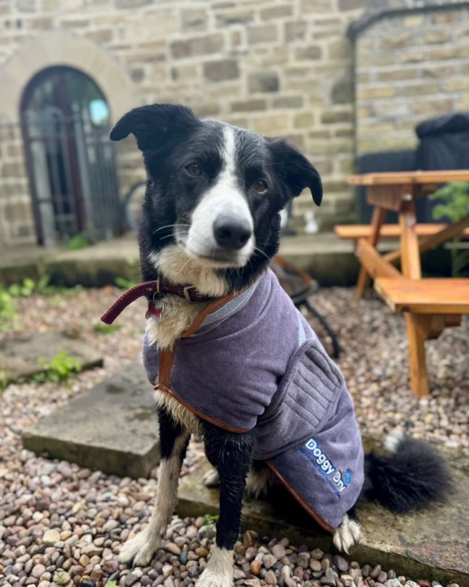 EARTH & TIDE DRYING COATS - Doggy Dry