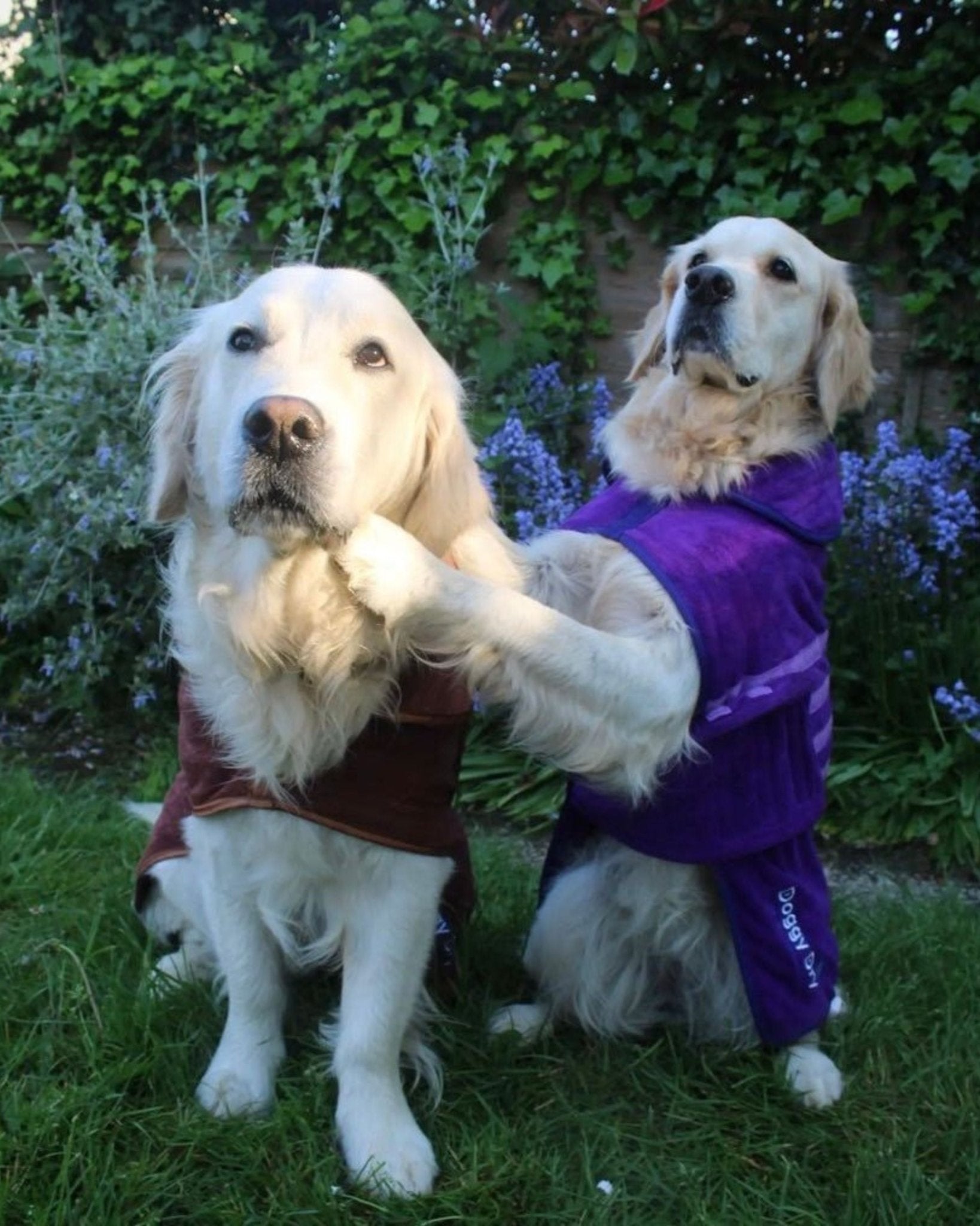 EARTH & TIDE DRYING COATS - Doggy Dry