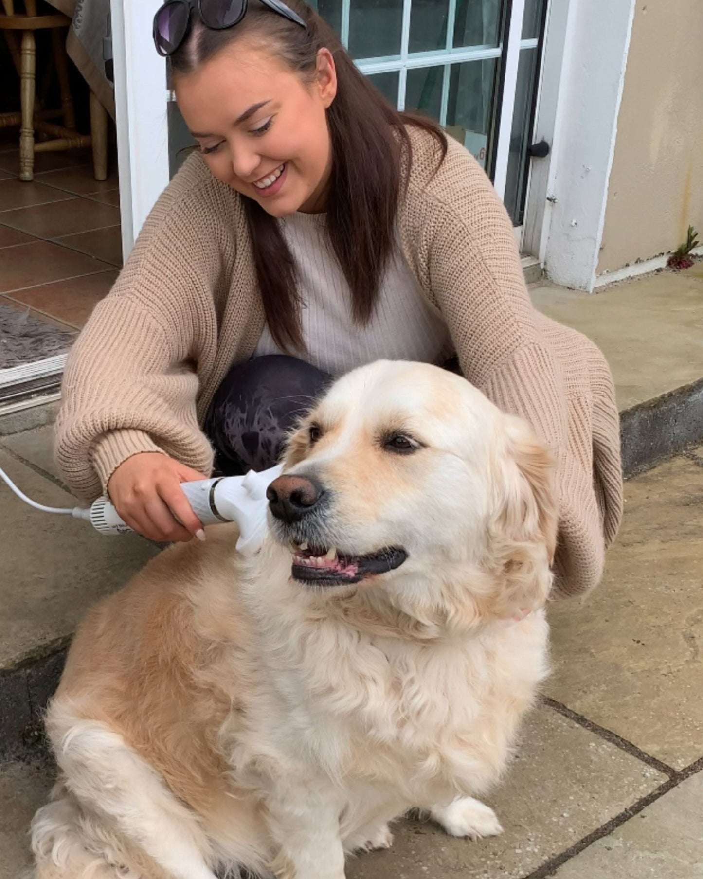 #Pet Dryer #Dryer #Doggy Dry #Dryer for pets